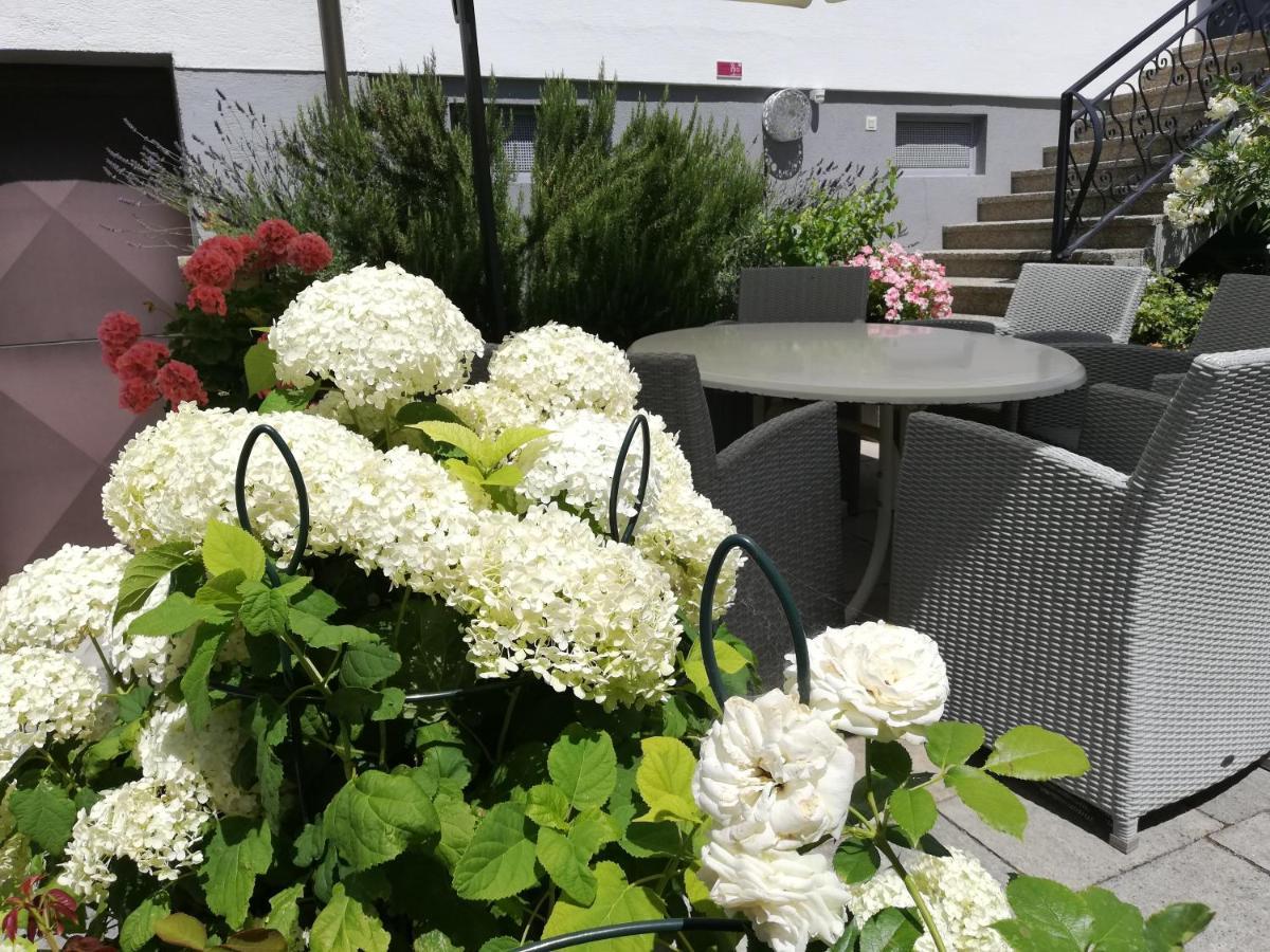 Winzerhof Michael Gartner Bed & Breakfast Illmitz Bagian luar foto